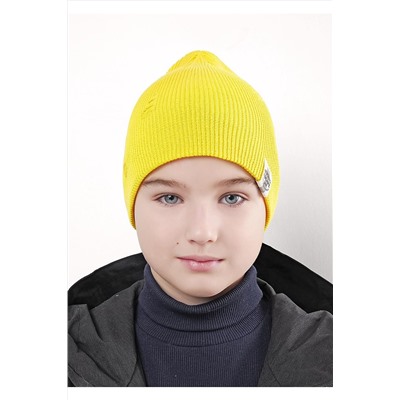 Шапка 1087911