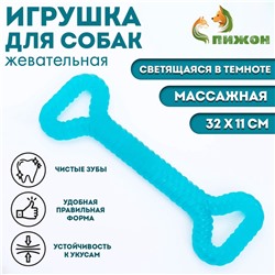 Жевательная игрушка для собак "Большая кость", светящаяся, массажная, 32 х 11, синяя
