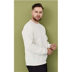 Свитшот F421-07-3201 milk