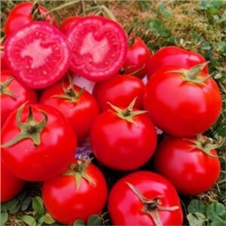 Помидоры Дикий Ангел — Muñeca Brava Tomato(СУПЕР УСТОЙЧИВОСТЬ к КЛАДОСПОРИОЗУ) (10 семян)