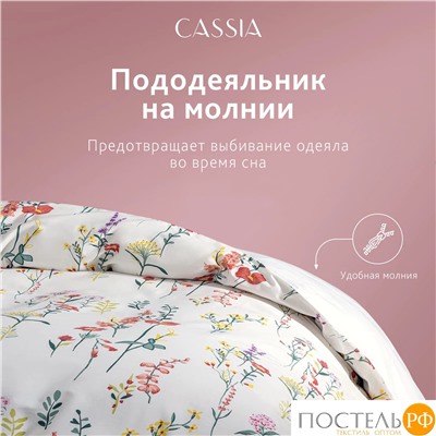 CASSIA ЭЛИФ КПБ 200х220-1/230х250-1/50х70-2, 4 пр., хл./сатин белый