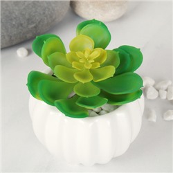 Суккулент искусственный 10х8 см / GN150 /уп 100/