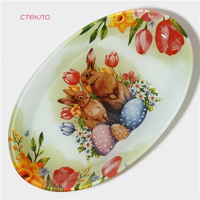 Блюдо Доляна «Акварель», 24.5×15×2 см, овальное, стекло