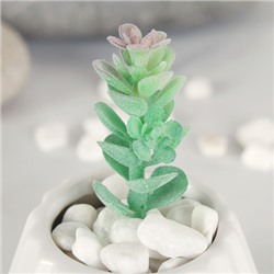 Суккулент искусственный 2,5х9 см / GN113 /уп 100/