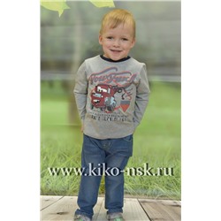 16190 Пусер с длинным рукавом Серый/98