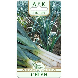 Лук порей Сегун