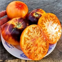 Помидоры Любовное Наслаждение от Близости при Свете Дня — Afternoon Delight Tomato (10 семян)