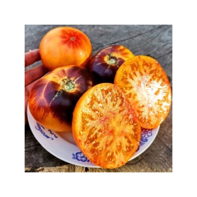 Помидоры Любовное Наслаждение от Близости при Свете Дня — Afternoon Delight Tomato (10 семян)