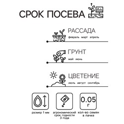 Семена цветов Алиссум "Снежный ковер", 0,05 г