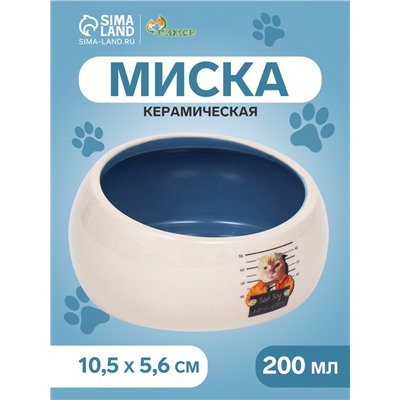 Миска керамическая Tasty, скошенный край 200 мл - 10.5×10.5×5.6 см, синяя/белая