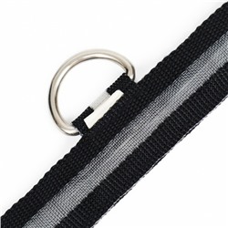 Ошейник с подсветкой, зарядка от USB, размер XL, ОШ 42-56 см, 3 режима, черный