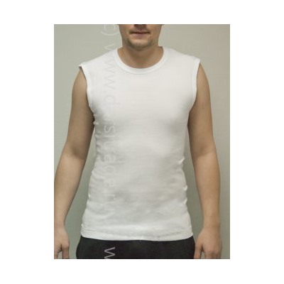 Футболка мужская GT004