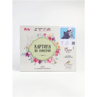 УЦЕНКА Картина по номерам 40*50 "Дружба" 7 цветов