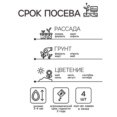 Семена комнатных цветов Пеларгония "Эйплблоссом", 4 шт.