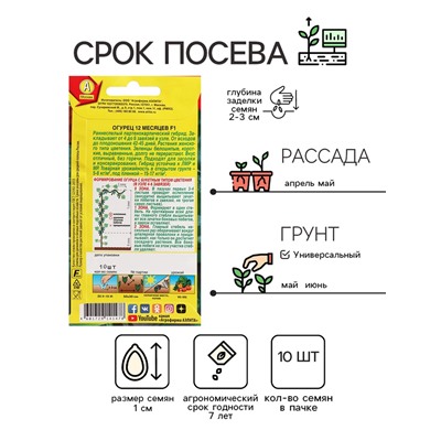 Семена огурца "12 месяцев", F1, 10 шт.