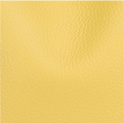 DOLAND LION  Сумка женская / кожа / 1638