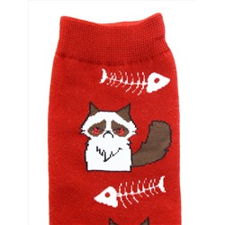 Носки р.35-40 Голодный Котик