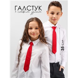 Соль&Перец Галстук