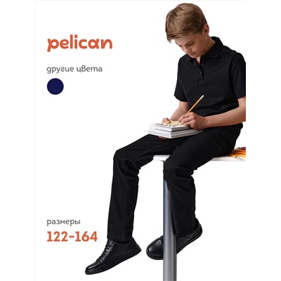 PELICAN Брюки BWP7124