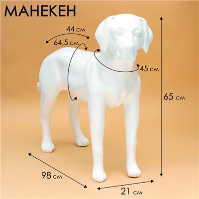 Манекен собаки, стоячий, разборный, фибергласс, белый