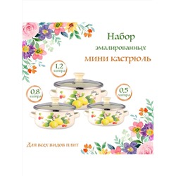 430165 ZEIDAN Набор