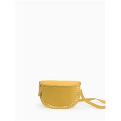 fo1529 dollaro giallo