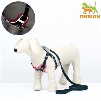 Комплект Sport+, XS, поводок 120×1.5 см, ОШ 37-39 см, ОГ 41-46 см, розово - чёрный