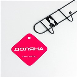 Вешалка настенная Доляна «Лайт», 6 крючков, 34×5,5×3 см, чёрная