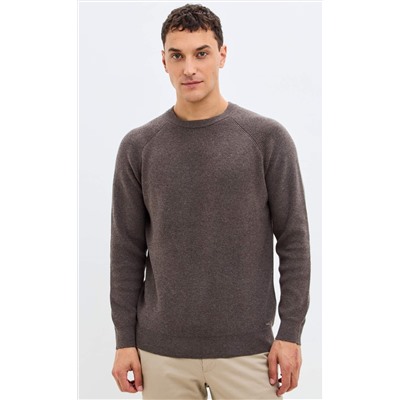 Свитер P521-1567 brown