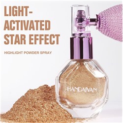 Сияющая пудра для тела, лица и волос с помпой-распылителем Handaiyan, Цвет 04