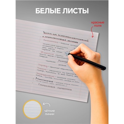 Набор тетрадей из 5 штук, 48 листов в линейку, Calligrata «Пиксели»