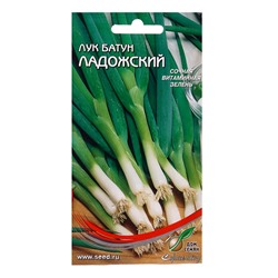 Семена  Лук батун "Ладожский" (/: 17 е/д)