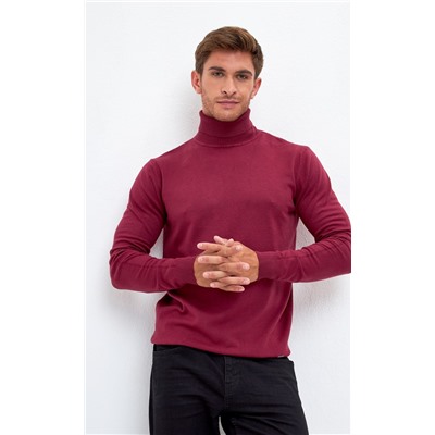 Водолазка мужская F121-01-868 бордовая