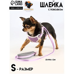 Комплект амуниции с мягкой шлейкой, S, поводок 120×1 см, ОШ 20-35 см, ОГ 20-35 см, сиреневый
