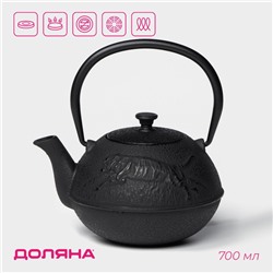 Чайник для плиты Доляна «Чёрный тигр», 700 мл, с ситом, чугун, эмалированное покрытие внутри, индукция, цвет чёрный