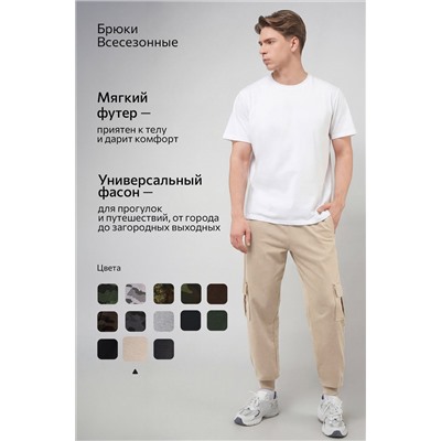Мужские брюки из футера двухнитки Happyfox