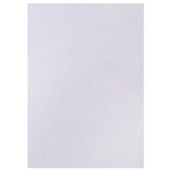 Набор 5 листов, ватман, чертежный, А0, 840×1189, 160 г/м²