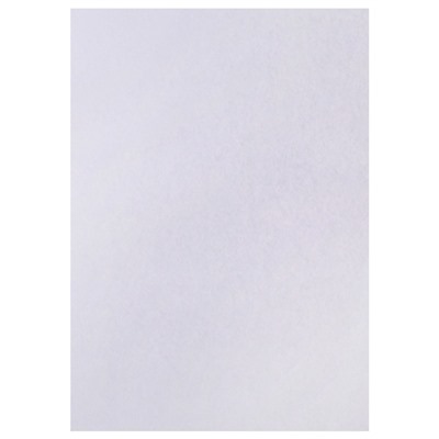 Набор 5 листов, ватман, чертежный, А0, 840×1189, 160 г/м²