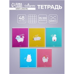 Тетрадь 48 листов в клетку Calligrata «Хорошо быть собакой», МИКС