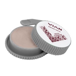 Концентрированная зубная паста VIAN "МЕНТОЛ В ШОКОЛАДЕ", 25 г