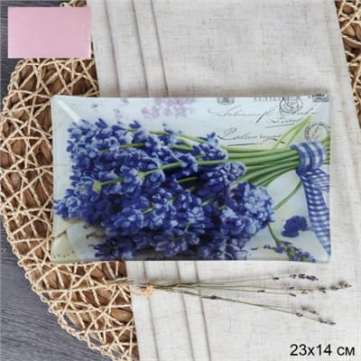 Блюдо прямоугольное 23x14 см / S322314 X097 GREY Лаванда / уп 6/72/ цветная коробка