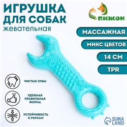 Игрушка массажная для собак "Ключ" 14 см, ТПР, микс цветов