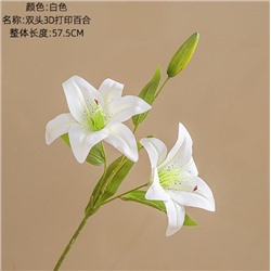 Лилия MW31587