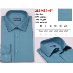 234+4*LBM Brostem рубашка мужская