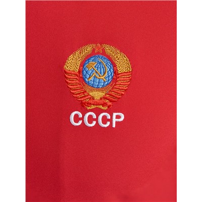 Спортивный костюм мужской СССР 15M-RT-1744