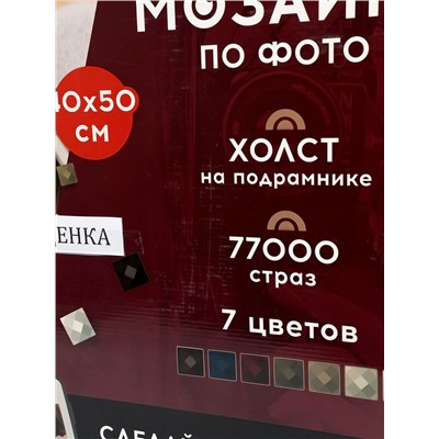 УЦЕНКА Алмазная мозаика по фото, на раме 40×50, полное заполнение, Vintage