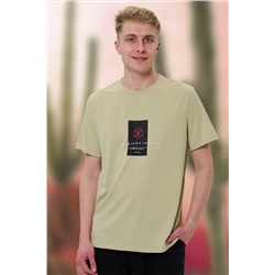 футболка мужская 2914-20