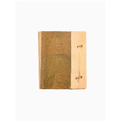 Блокнот в твёрдой обложке «Тропики», 48 листов, 13×16×2 см, бежево-коричневый