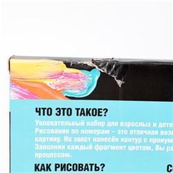 УЦЕНКА Картина по номерам на холсте с подрамником «Девочка с велосипедом», 40×50 см