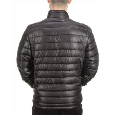GBIT 81008 BLACK Куртка мужская демисезонная BNQXIANG (100 гр. синепон)